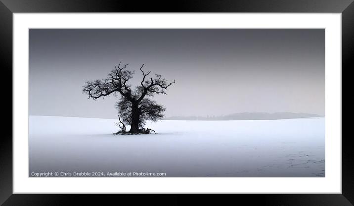 In the depths of Winter Framed Mounted Print by Chris Drabble