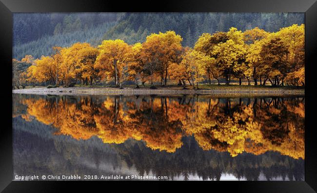 Autumn colours on Loch Lubnaig Framed Print by Chris Drabble