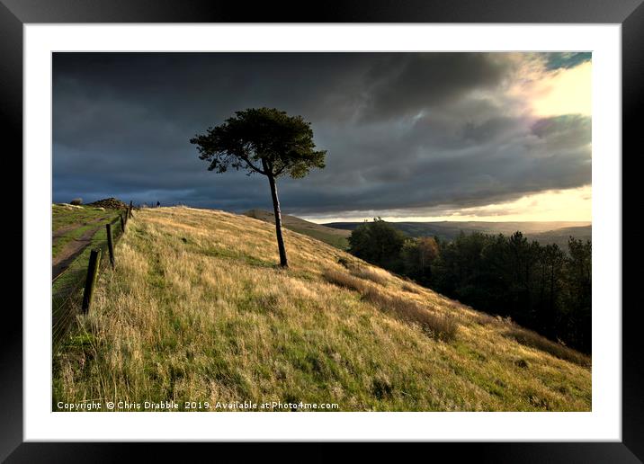 Lone tree on Back Tor Framed Mounted Print by Chris Drabble