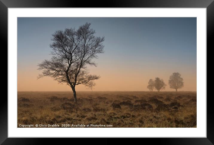 A misty Winter morning on Leash Fen (2) Framed Mounted Print by Chris Drabble