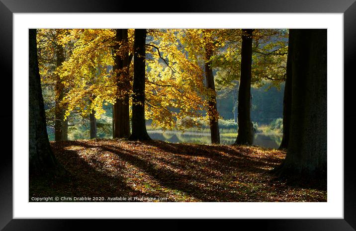 Autumn leaf Framed Mounted Print by Chris Drabble