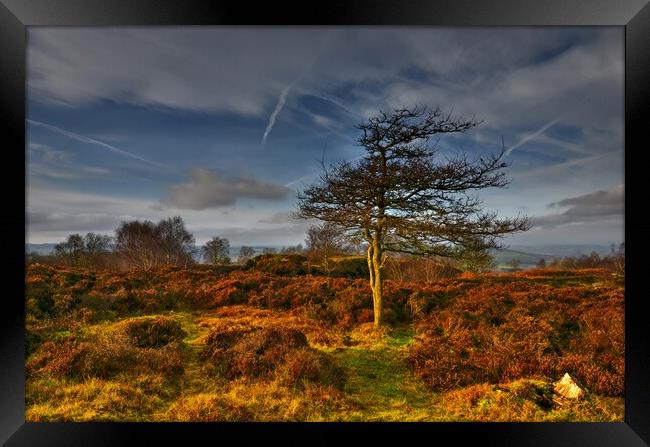 Stanton Moor at sunset  Framed Print by Chris Drabble