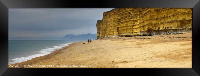 Burton Bradstock beach and cliffs Framed Print by Chris Drabble