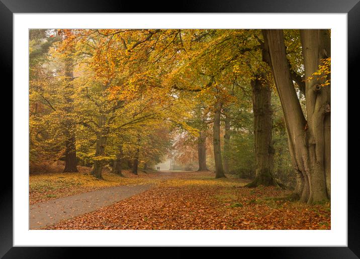 An Autumn Walk Framed Mounted Print by Bob Barnes