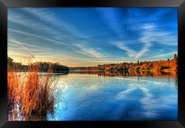 Virginia Water Lake Virginia Water Surrey Framed Print by Bob Barnes