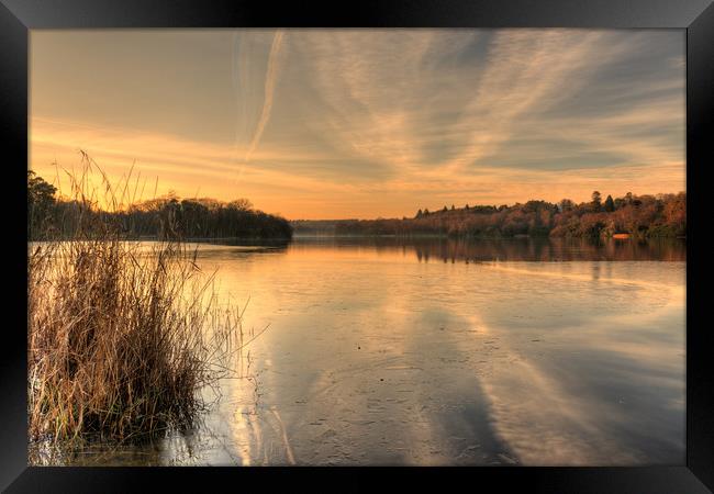 Virginia Water Lake Virginia Water Surrey Framed Print by Bob Barnes