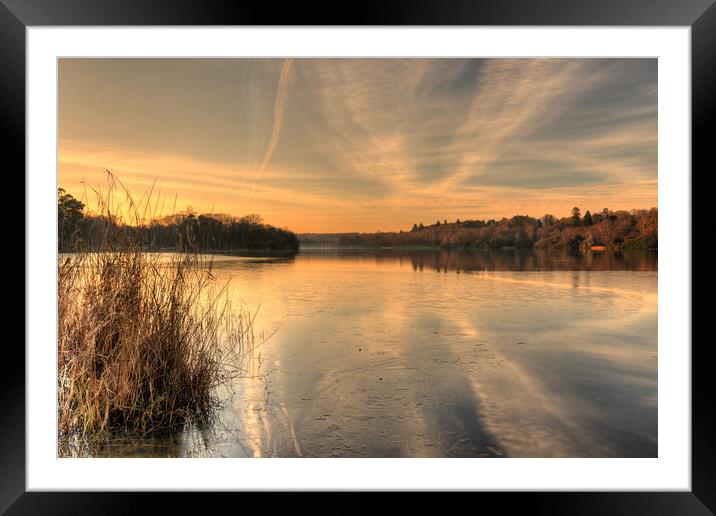 Virginia Water Lake Virginia Water Surrey Framed Mounted Print by Bob Barnes