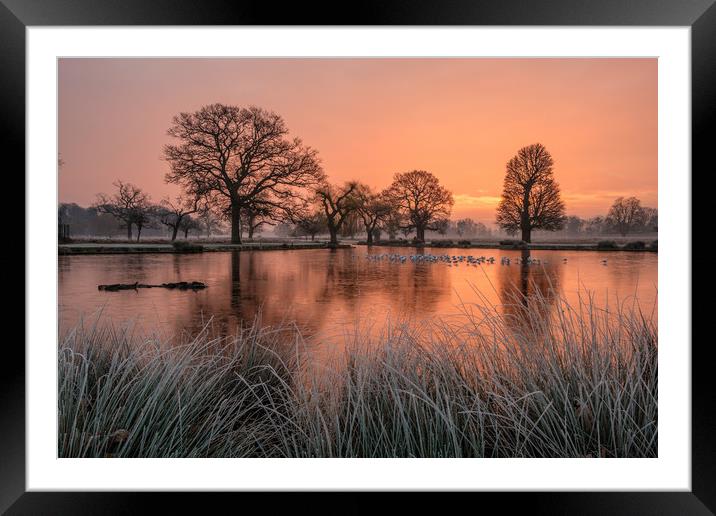 A Winters Dawn at Bushy Park Framed Mounted Print by Bob Barnes