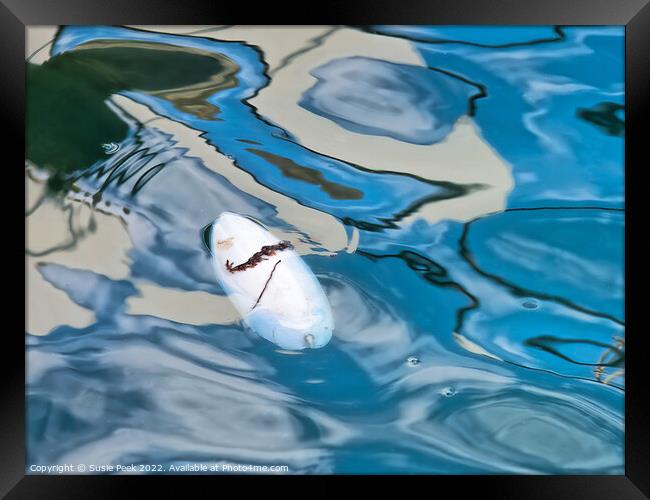Floating Cuttlefish Bone with Abstract Reflections Framed Print by Susie Peek