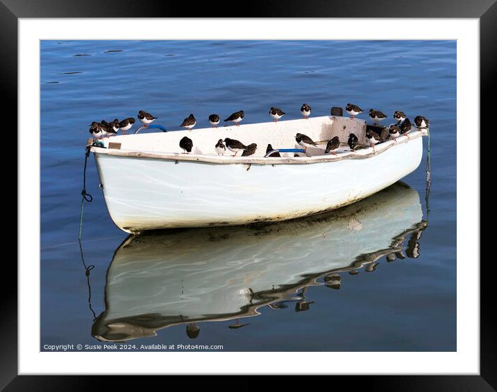 A Skiff Full of Turnstones Framed Mounted Print by Susie Peek