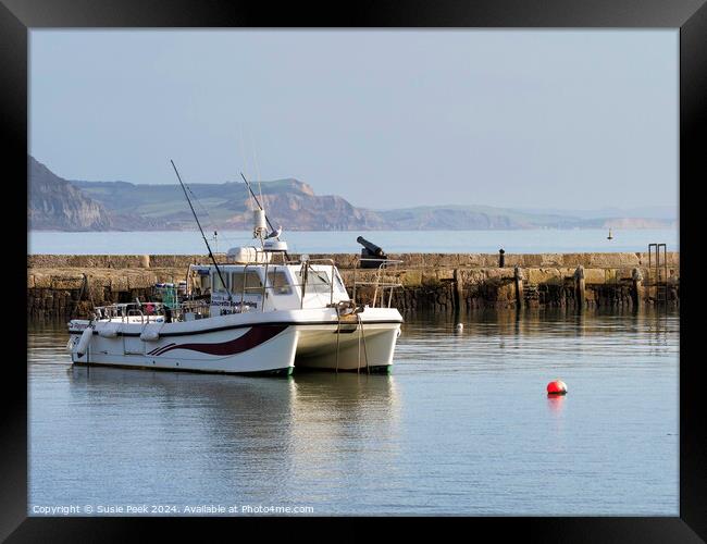 Winter Harbour at Lyme Regis Framed Print by Susie Peek