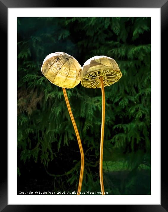 Two Little Shrooms Framed Mounted Print by Susie Peek