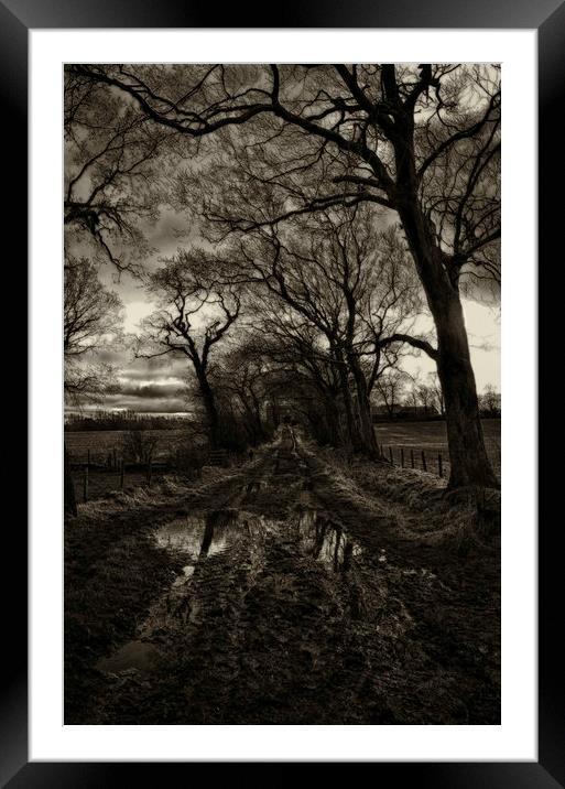 Autumn haunts Framed Mounted Print by Thomas Richardson