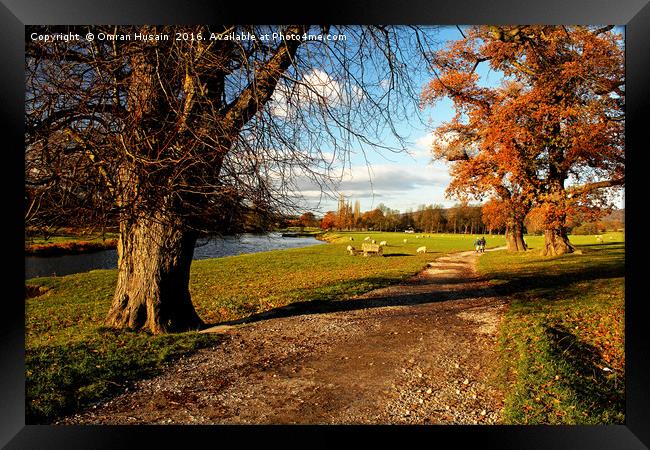 Ramblers Walking In The Countryside Framed Print by Omran Husain