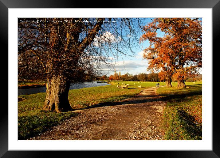 Ramblers Walking In The Countryside Framed Mounted Print by Omran Husain