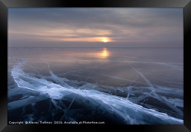 Solar Gravity Framed Print by Alexey Trofimov