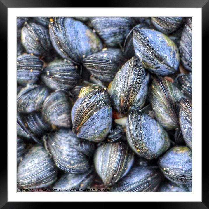 Cornish Mussels Framed Mounted Print by Craig Preedy