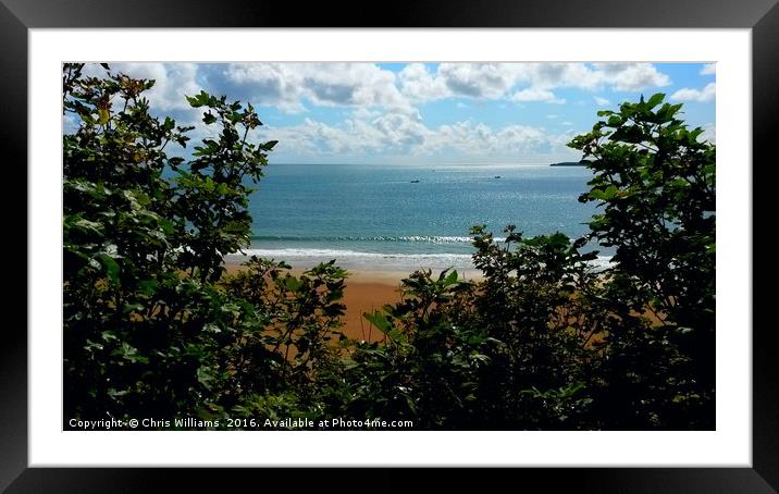 Tenby South Beach Seaview Framed Mounted Print by Chris Williams