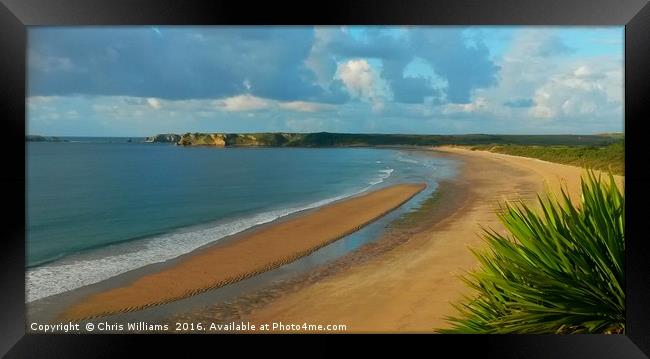 Tenby's Southern Sands Framed Print by Chris Williams