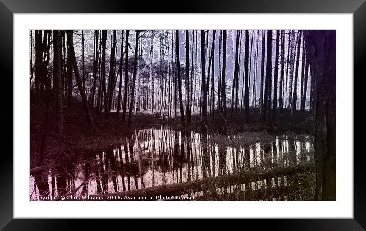 Pine Swamp  Framed Mounted Print by Chris Williams