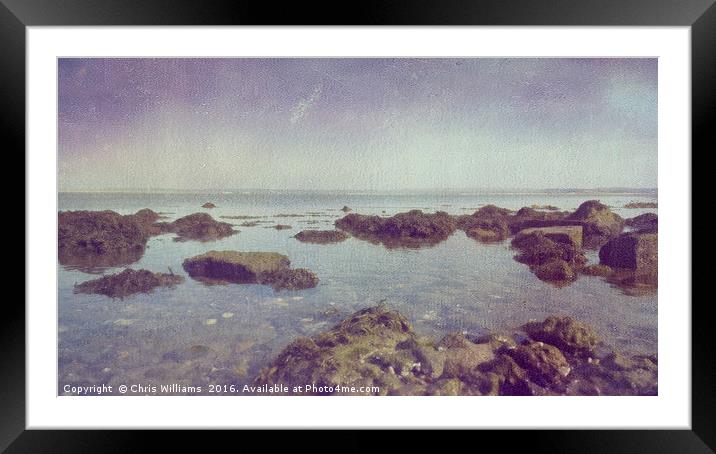 The Rockpool Framed Mounted Print by Chris Williams