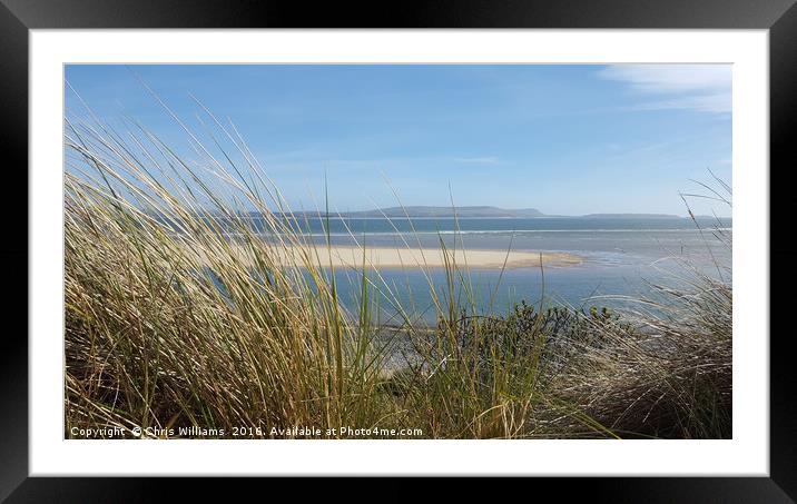 Wind Blown Dune Grass Framed Mounted Print by Chris Williams