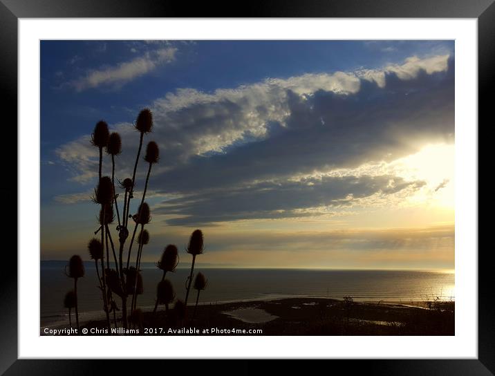 Clifftop View Framed Mounted Print by Chris Williams