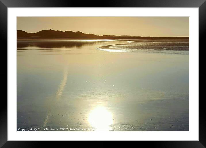 Evening Sun Framed Mounted Print by Chris Williams