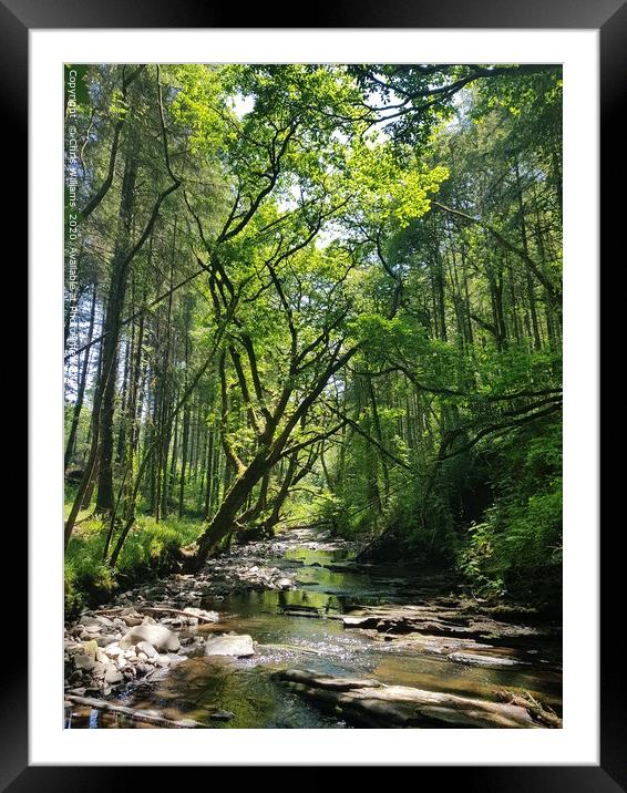 Spring Stream Framed Mounted Print by Chris Williams