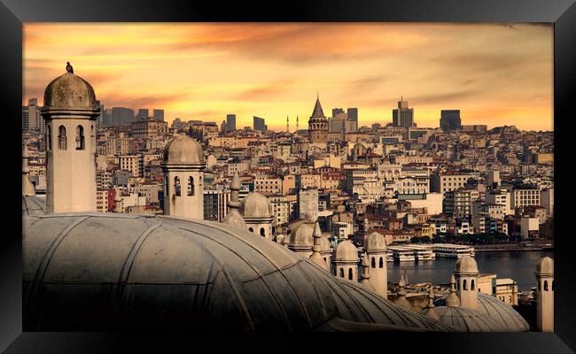 Istanbul cityscape with Galata Kulesi Tower. Turkey. Framed Print by Sergey Fedoskin