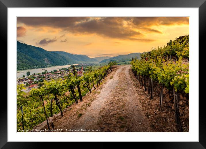 Road through the vineyards at sunset. Wachau Valley. Austria. Framed Mounted Print by Sergey Fedoskin