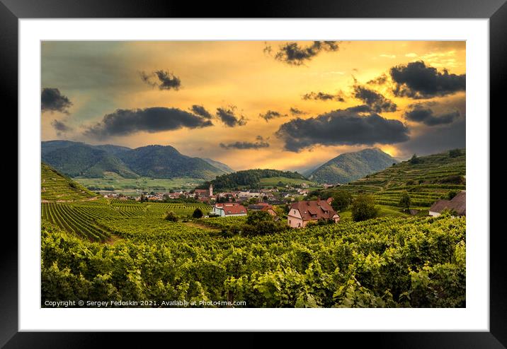Sunset over vineyard and Spitz town in Wachau region, Austria. Framed Mounted Print by Sergey Fedoskin