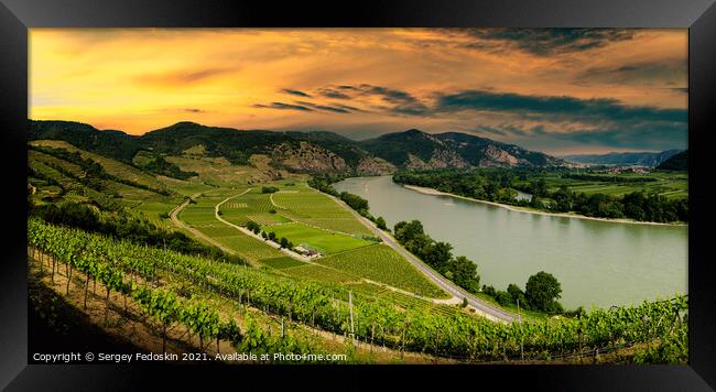 Wachau valley, UNESCO site, landscape with vineyards and Danube  Framed Print by Sergey Fedoskin