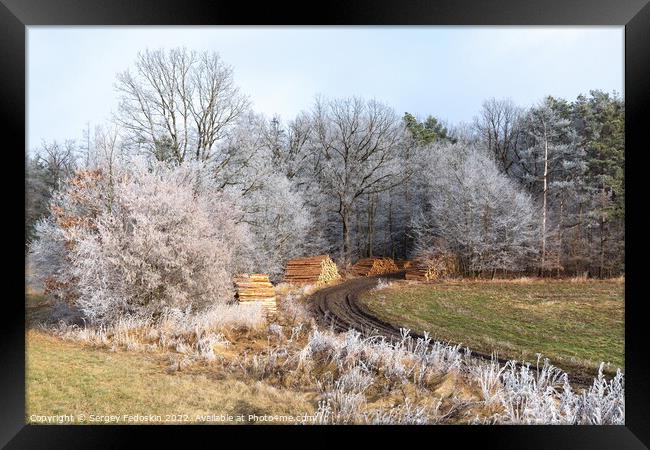 Winter countryside landscape in Czechia. Framed Print by Sergey Fedoskin