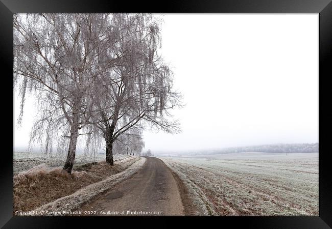 Winter countryside road, trees and pastures. Czechia Framed Print by Sergey Fedoskin