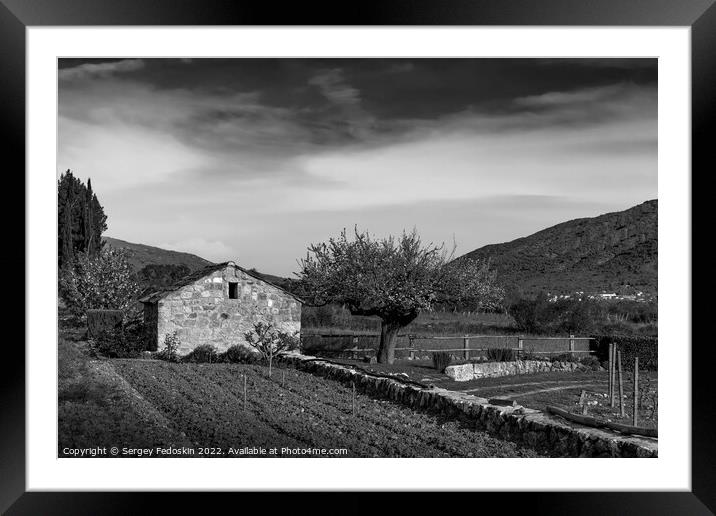 Old stone farm barn in spring vineyard. Europe. Framed Mounted Print by Sergey Fedoskin