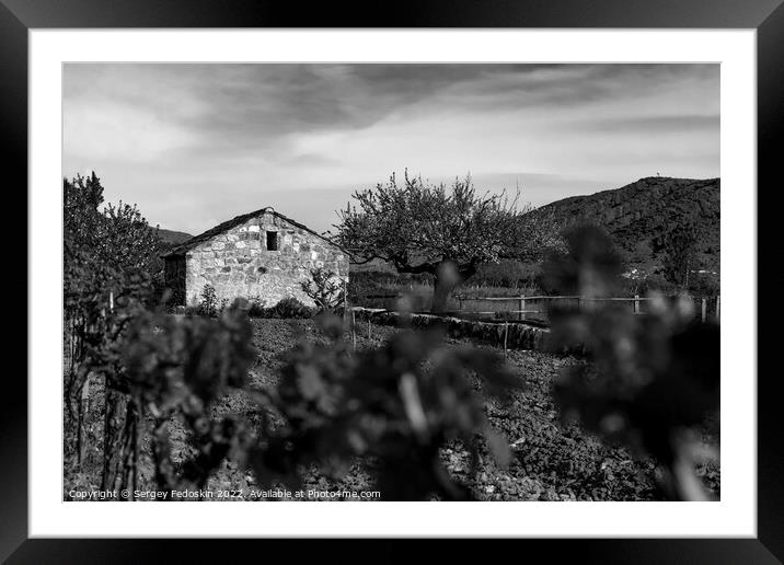 Old stone farm barn in spring vineyard. Europe. Framed Mounted Print by Sergey Fedoskin