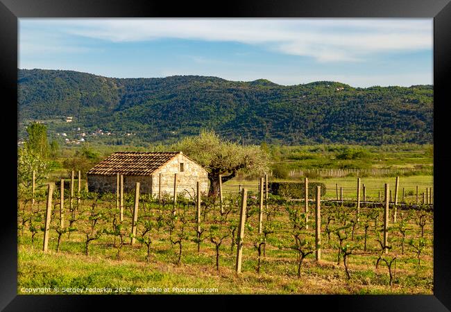 Barn in vineyard in croatian valley. Early summer. Framed Print by Sergey Fedoskin