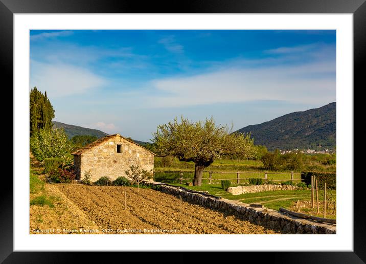Barn in vineyard in croatian valley. Early summer. Framed Mounted Print by Sergey Fedoskin