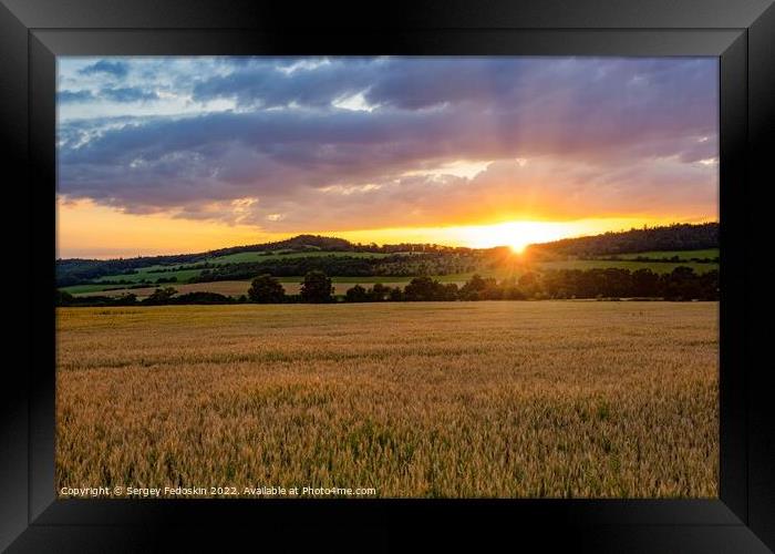 Rye field at sunset. Summer evening. Framed Print by Sergey Fedoskin
