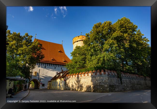 Historic Kotnov Tower in Tabor, Czech Republic Framed Print by Sergey Fedoskin