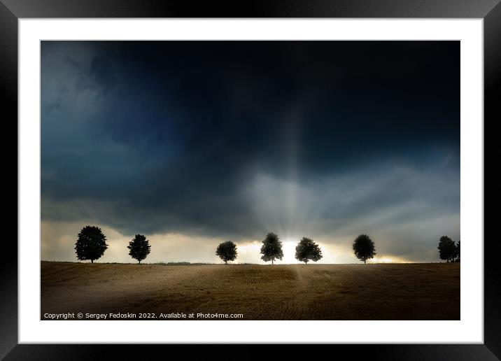 Trees during a sever thunderstorm. The sun is setting behind the storm on the horizon. The landscape is barren and dry. Framed Mounted Print by Sergey Fedoskin
