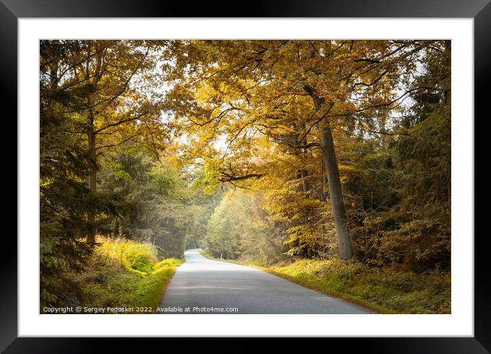 Autumn road in the forest. Framed Mounted Print by Sergey Fedoskin