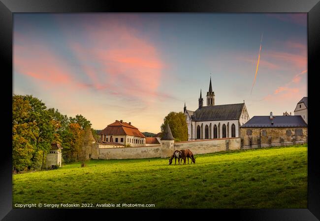 Cistercian monastery Vyssi Brod and grazing horses. Czech Republic. Framed Print by Sergey Fedoskin