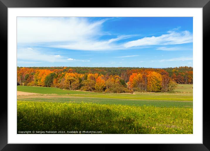 Sunny autumn day in european countryside. Czech Republic. Framed Mounted Print by Sergey Fedoskin