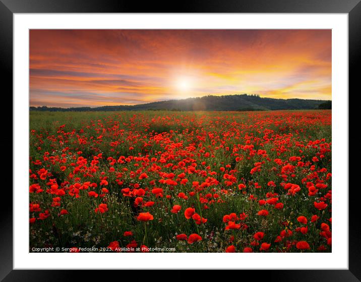 Poppy field in full bloom. Field of red poppies against the sunset sky. Framed Mounted Print by Sergey Fedoskin