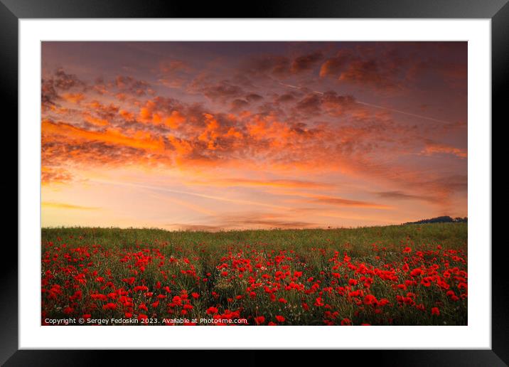 Poppy field in full bloom. Framed Mounted Print by Sergey Fedoskin