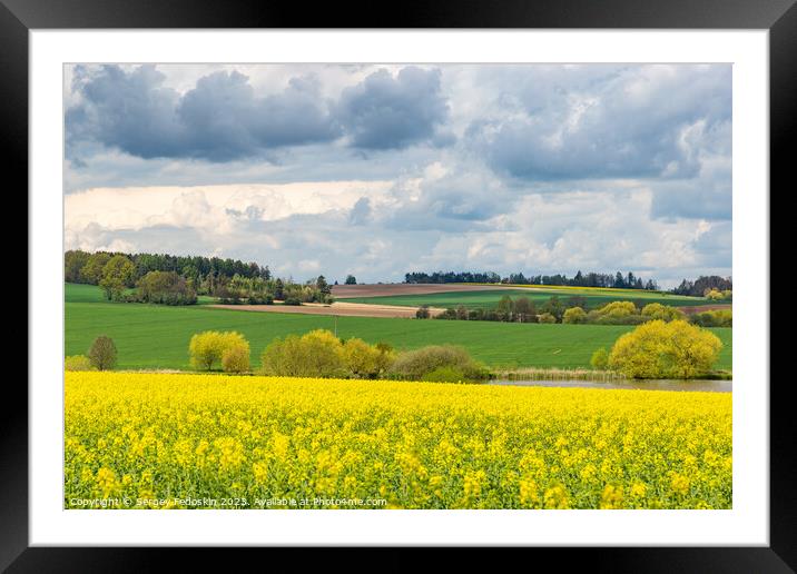 Spring fields of Europe, covered in bright yellow canola flowers. Framed Mounted Print by Sergey Fedoskin