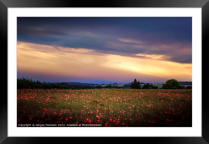 Poppy meadow Framed Mounted Print by Sergey Fedoskin