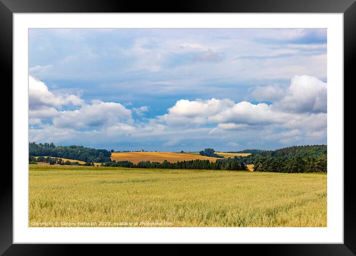 Wheat field on an agriculture farm Framed Mounted Print by Sergey Fedoskin